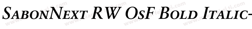 SabonNext RW OsF Bold Italic字体转换